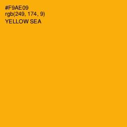#F9AE09 - Yellow Sea Color Image